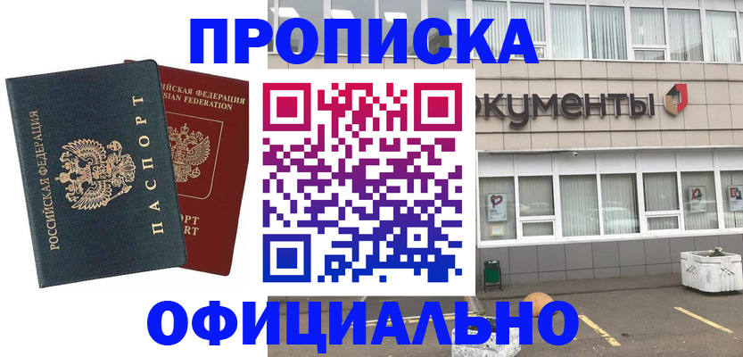 прописка поиск в Химках